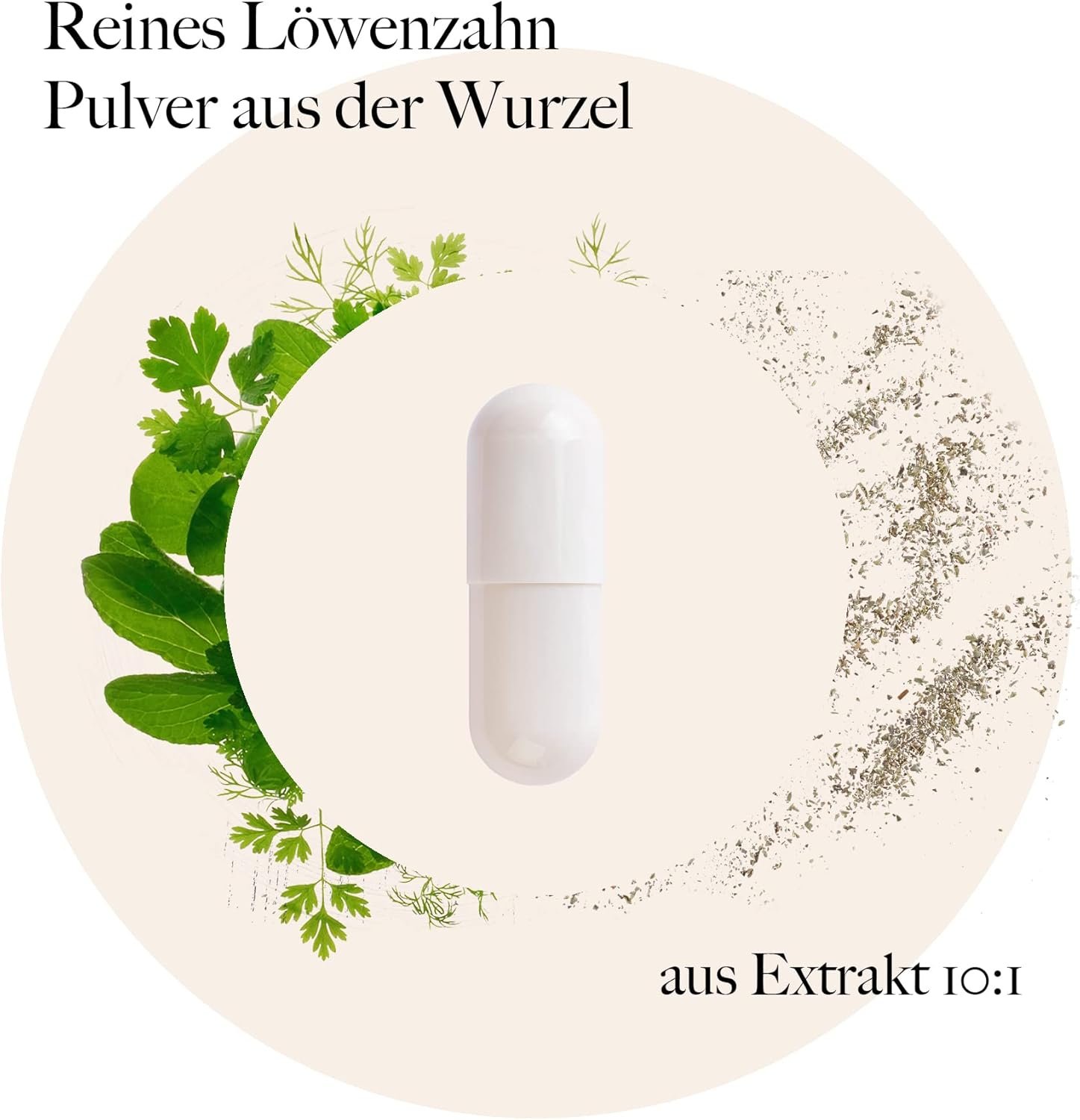 120 löwenzahnwurzel kapseln – 500 mg Extrakt (10:1) – Ohne Zusätze – Deutsche Premium Qualität