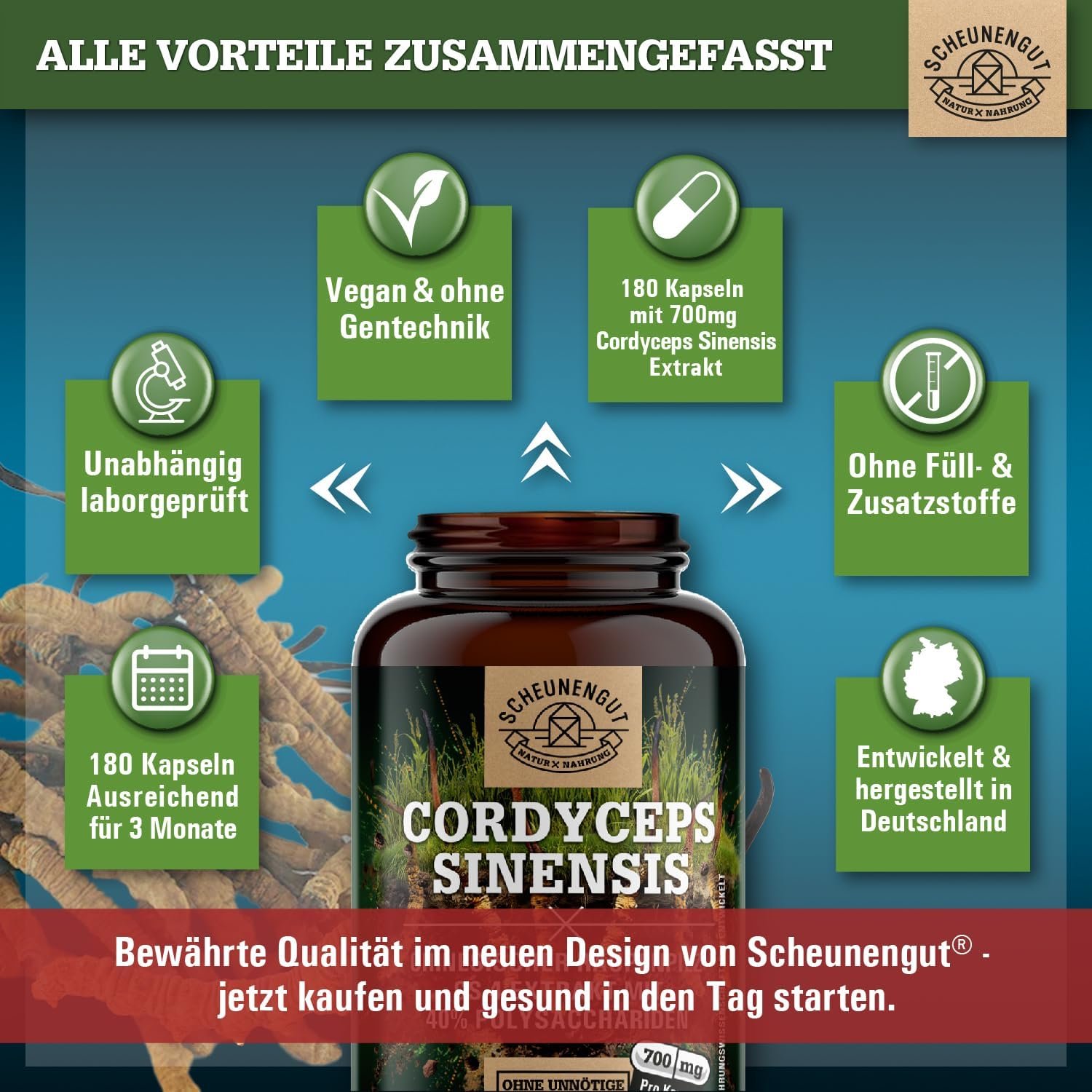 140 Kapseln cordyceps kapseln hochdosiert 1400mg vegan | SCHEUNENGUT