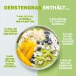 500 g Gerstengras Pulver bio rohkostqualität ballaststoffreich vegan | Lebepur