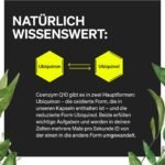 120 coenzym q10 200mg kapseln – Hochdosiert – Vegan & Laborgeprüft - Natural Elements