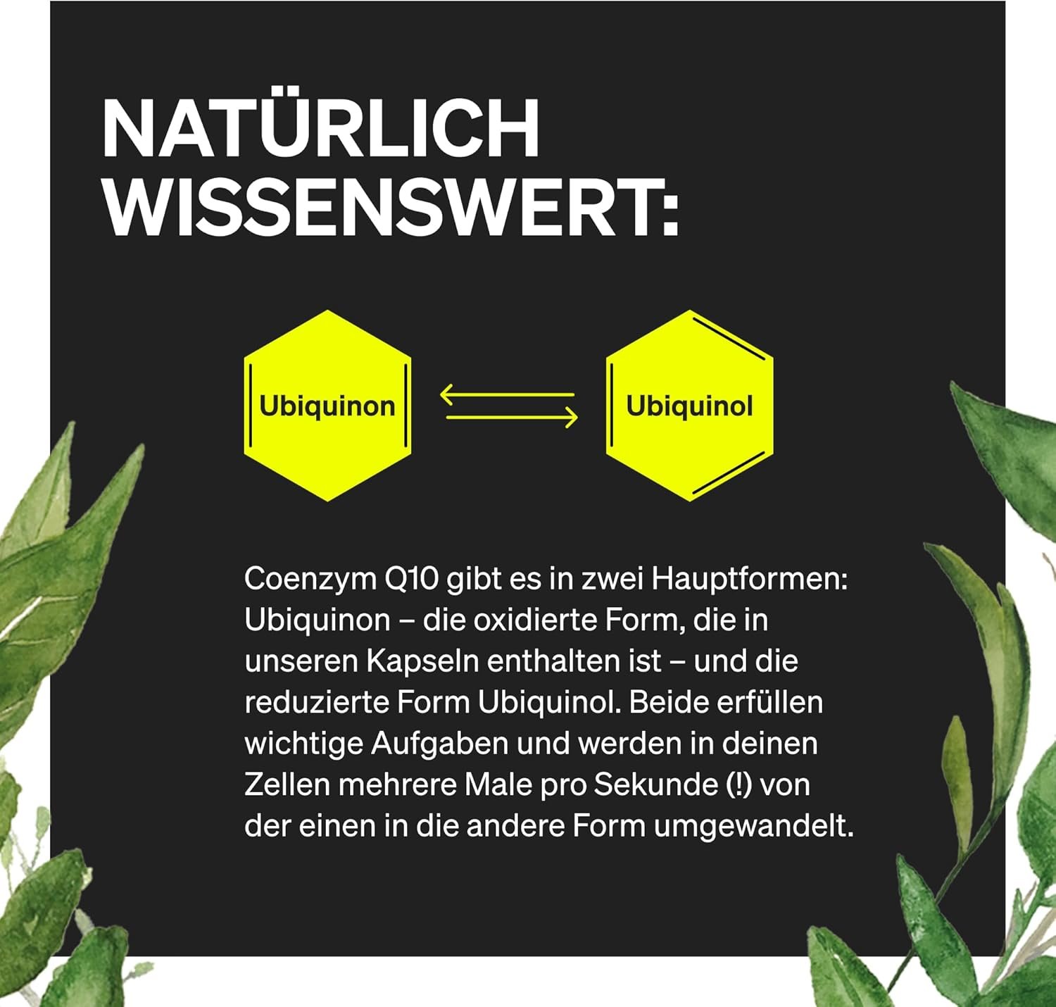 71mDirA3+UL._AC_SL1500_ 120 coenzym q10 200mg kapseln – Hochdosiert – Vegan & Laborgeprüft - Natural Elements