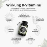 180 Kapseln Vitamin B Komplex Kapseln hochdosiert vegan Feel Natural