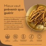 270 Stück Cordyceps kapseln hochdosiert 1950mg vegan | TRUE NATURE