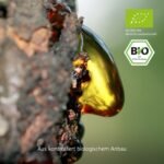 500 g Akazienfaser Pulver bio 80 % Ballaststoffe ohne Zusätze 50 Tage Vorrat | Effective Nature