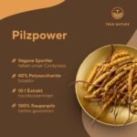270 Stück Cordyceps kapseln hochdosiert 1950mg vegan | TRUE NATURE