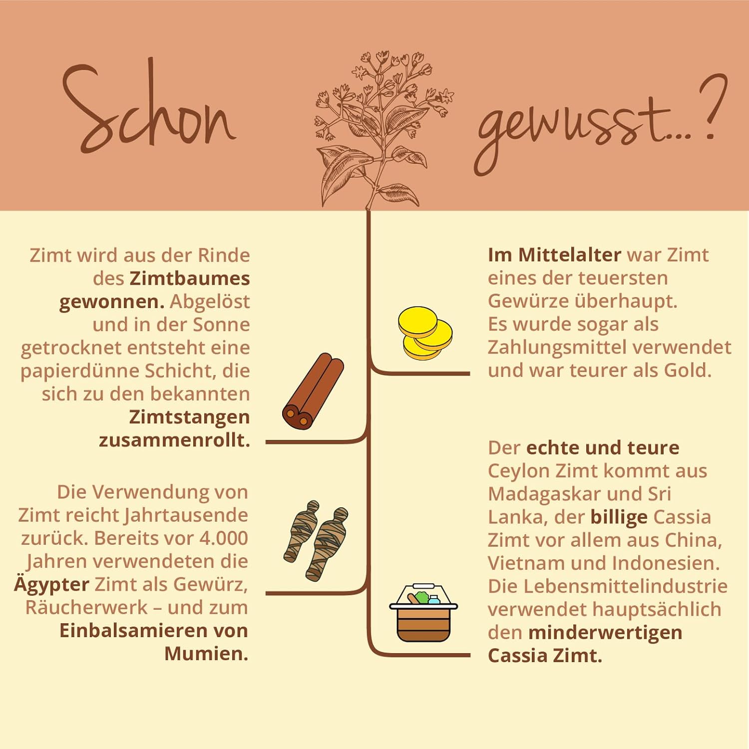 120 ceylon zimt kapseln – 2500 mg Extrakt – Laborgeprüft & Vegan