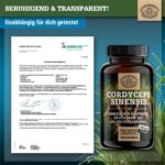 140 Kapseln cordyceps kapseln hochdosiert 1400mg vegan | SCHEUNENGUT