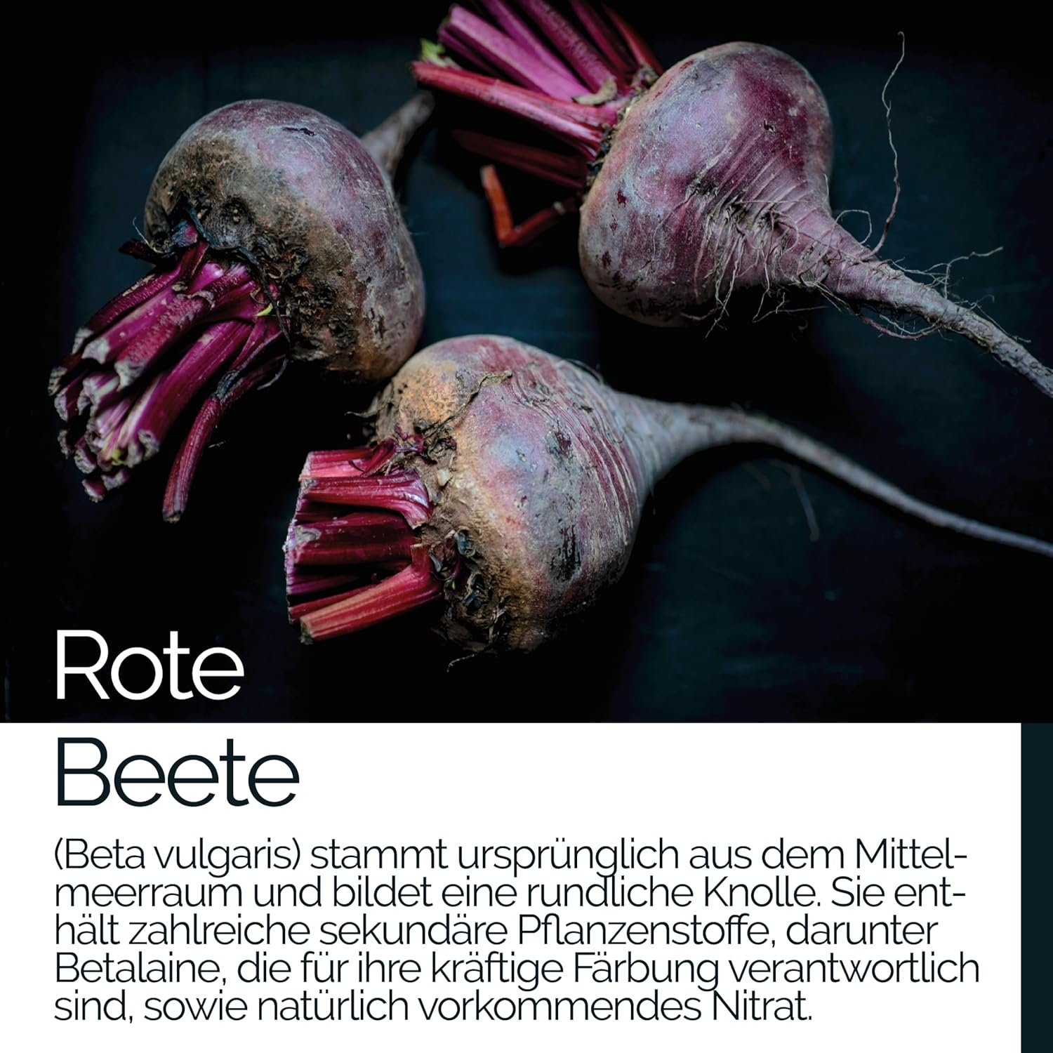 814kPwg6zJL._AC_SL1500_ 90 Rote beete kapseln extrakt hochdosiert vegan | TAVI