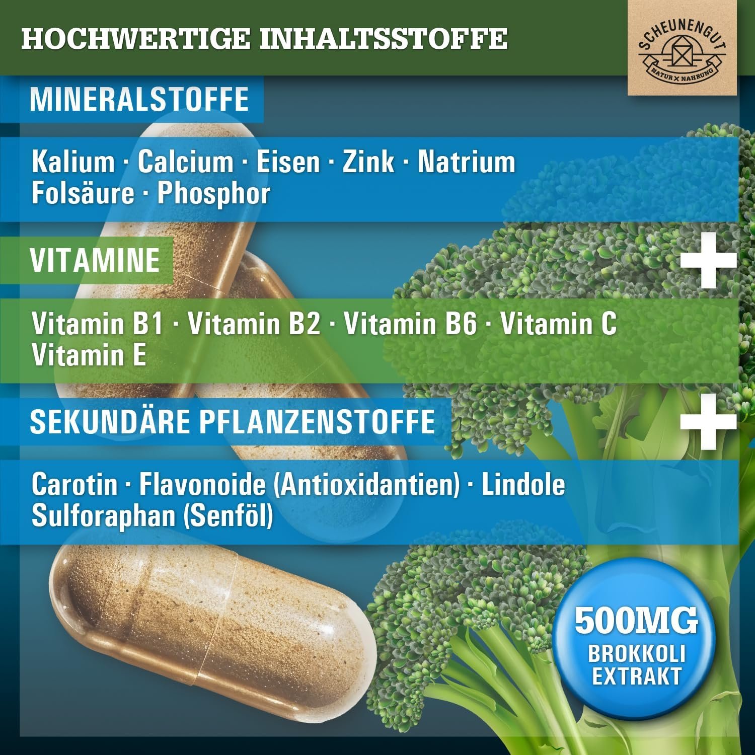 120 Sulforaphan kapseln hochdosiert brokkoli extrakt mit myrosinase | SCHEUNENGUT