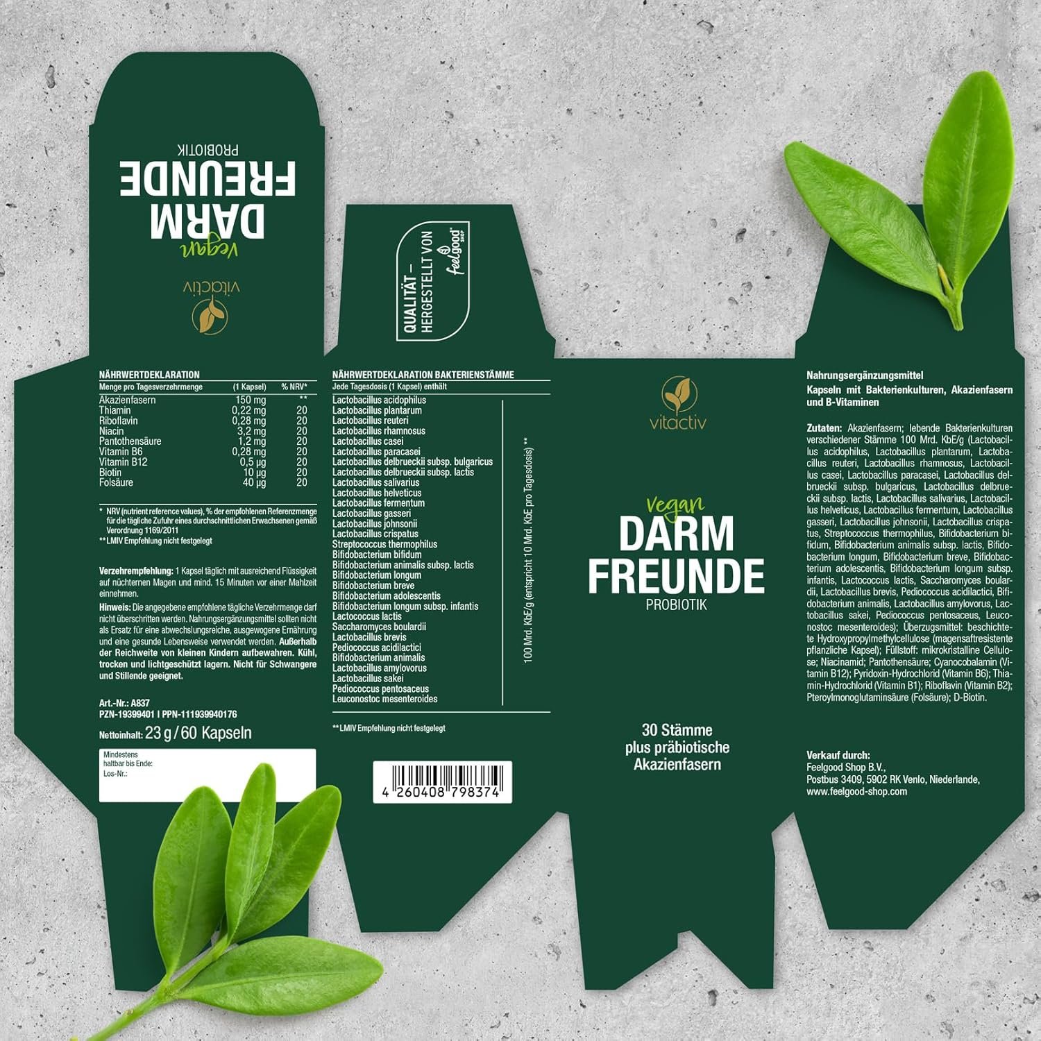 60 Kapseln Probiotik Kulturen Komplex mit 30 Stämmen & B-Vitaminen | VITACTIV