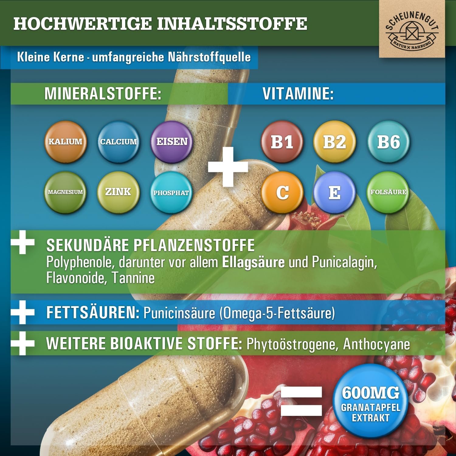 150 Granatapfel Kapseln hochdosiert 2400 mg 45:1 Extrakt | Scheunengut