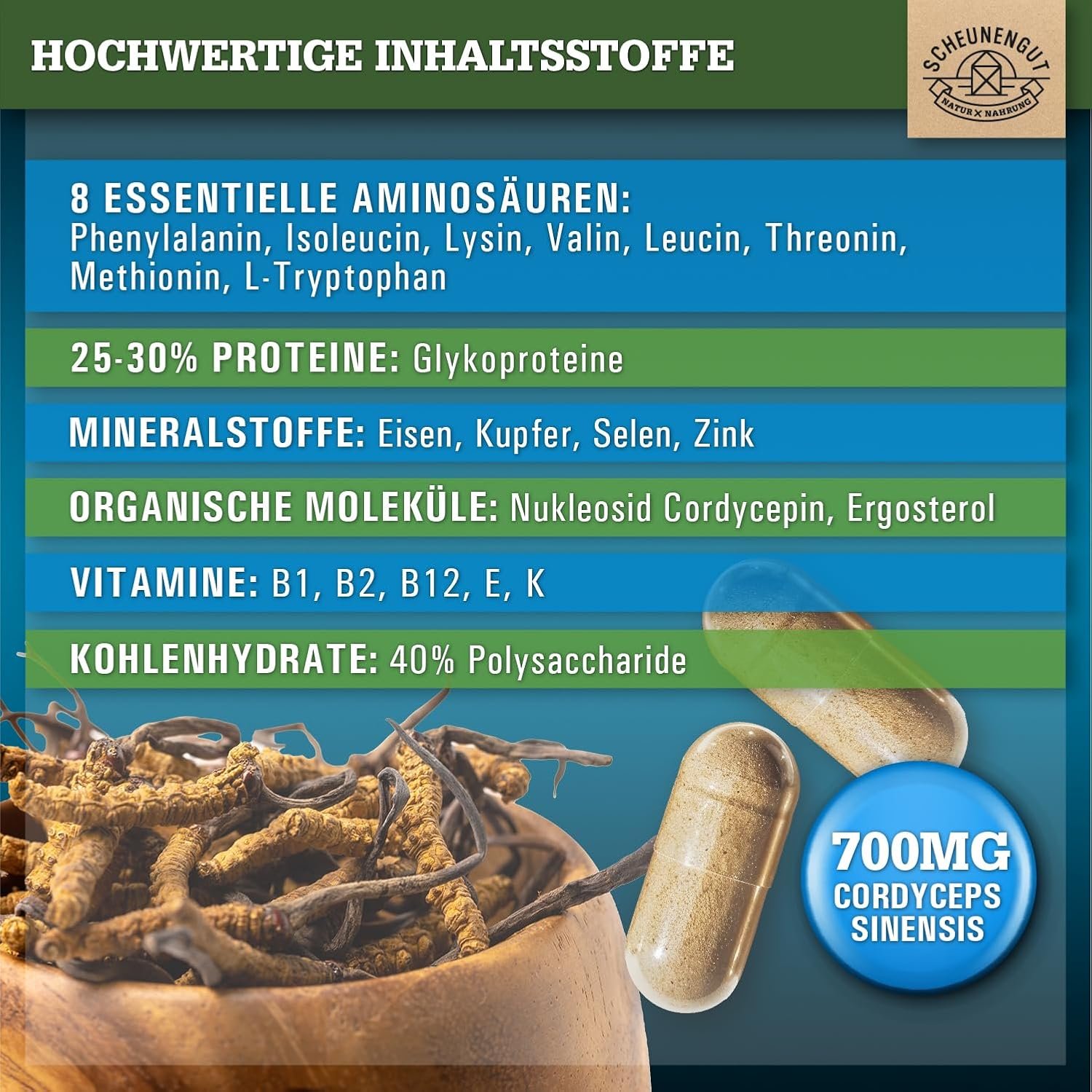 140 Kapseln cordyceps kapseln hochdosiert 1400mg vegan | SCHEUNENGUT