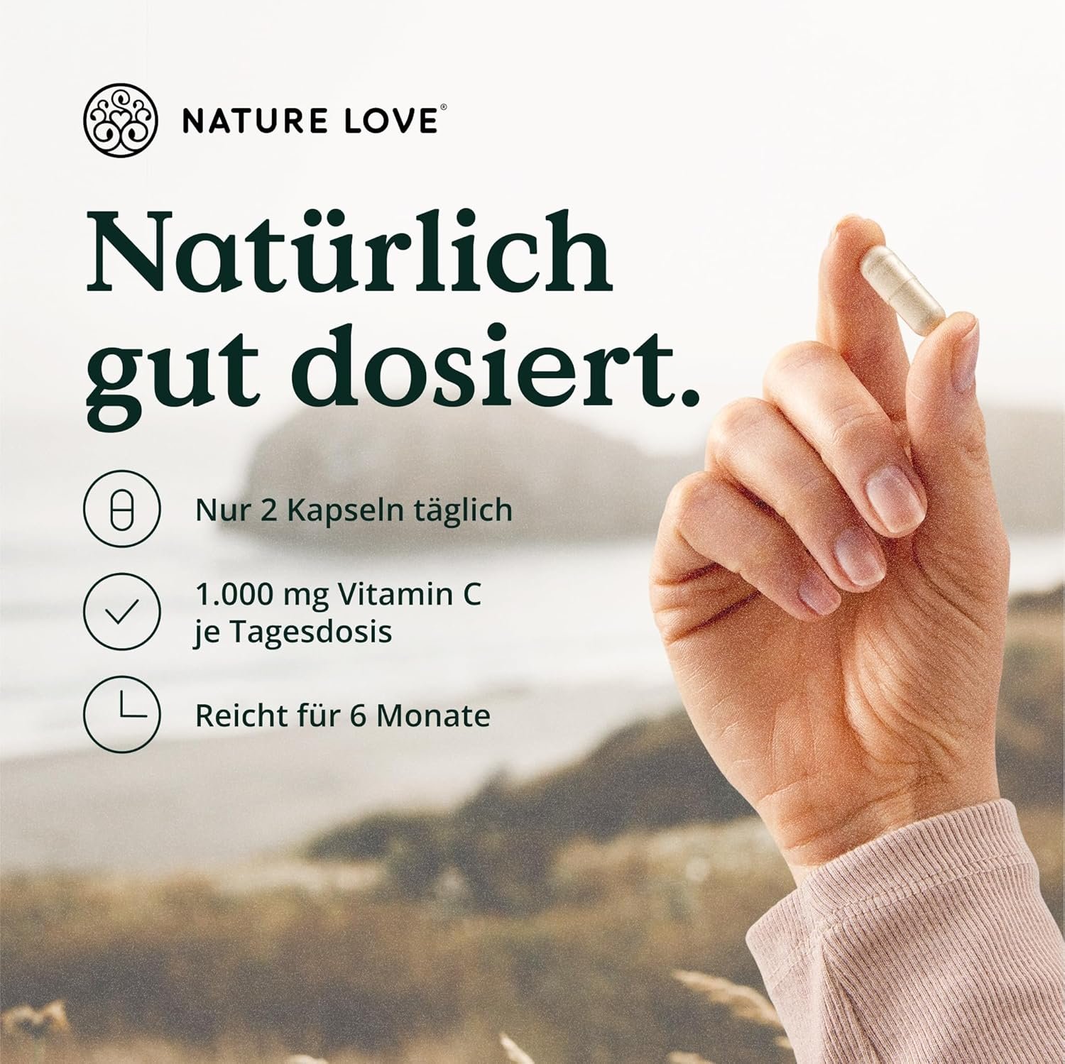 365 Kapseln Vitamin C Kapseln 1000 mg gepuffert vegan NATURE LOVE®