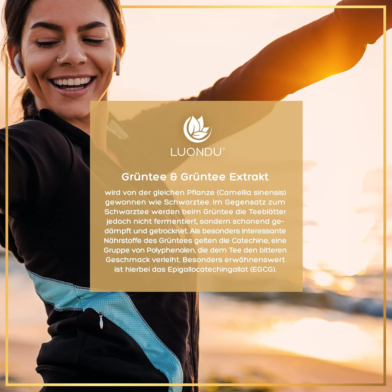 90 grüntee extrakt kapseln – Hochdosiert mit 2250mg Extrakt & 339mg EGCG – Vegan