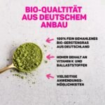 500 g Gerstengras Pulver bio rohkostqualität ballaststoffreich vegan | Lebepur