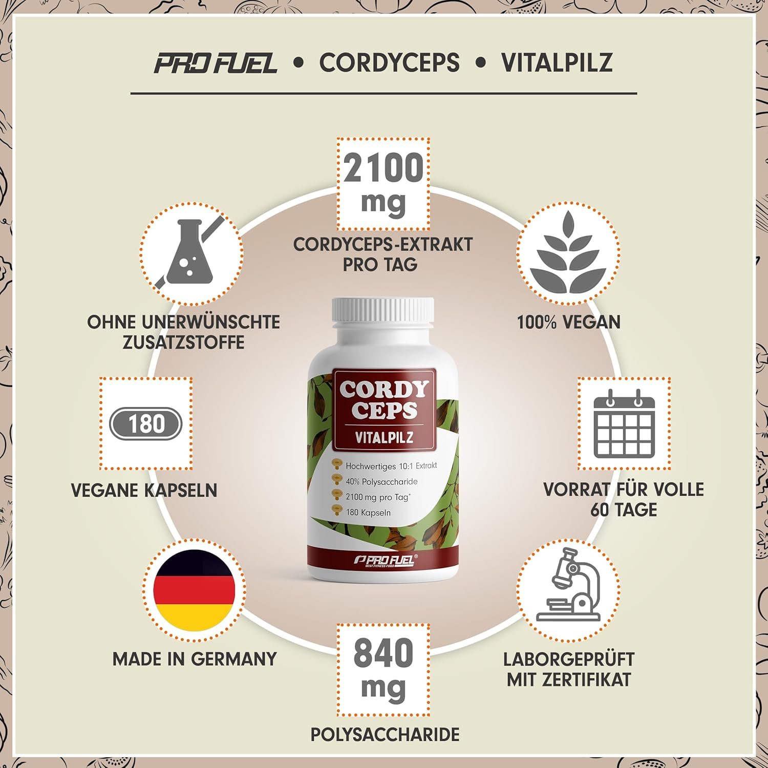 180 Kapseln Cordyceps Kapseln 10:1 Extrakt 40% Polysaccharide | ProFuel