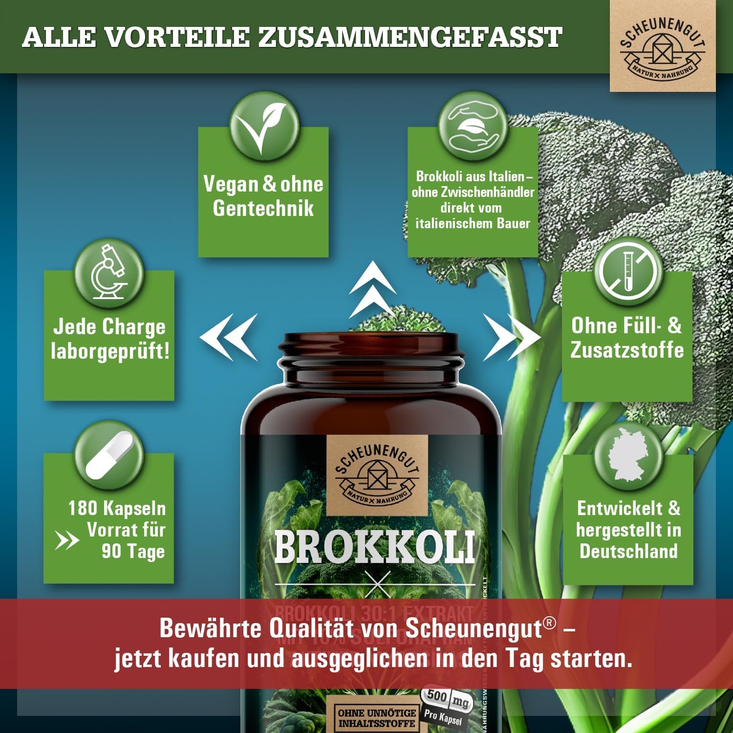 120 Sulforaphan kapseln hochdosiert brokkoli extrakt mit myrosinase | SCHEUNENGUT