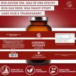 180 Ginseng Kapseln hochdosiert mit 80 % Ginsenosiden im Apothekerglas | QIDOSHA