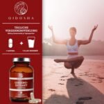 180 Ginseng Kapseln hochdosiert mit 80 % Ginsenosiden im Apothekerglas | QIDOSHA