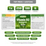 180 Tabletten Vitamin B2 Tabletten 250 mg hochdosiert vegan Greenfood