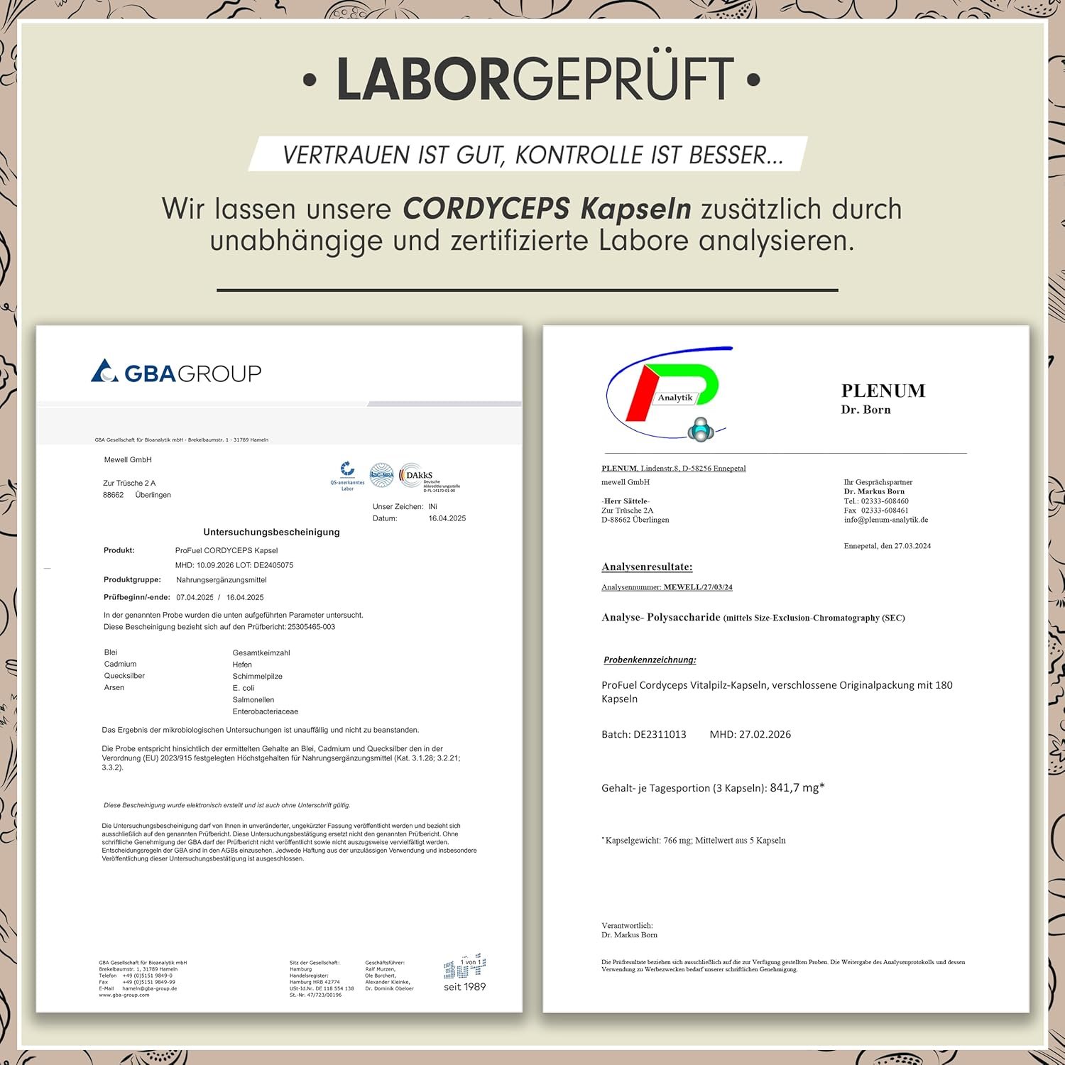 180 Kapseln Cordyceps Kapseln 10:1 Extrakt 40% Polysaccharide | ProFuel