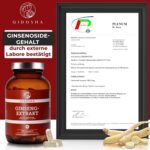 180 Ginseng Kapseln hochdosiert mit 80 % Ginsenosiden im Apothekerglas | QIDOSHA