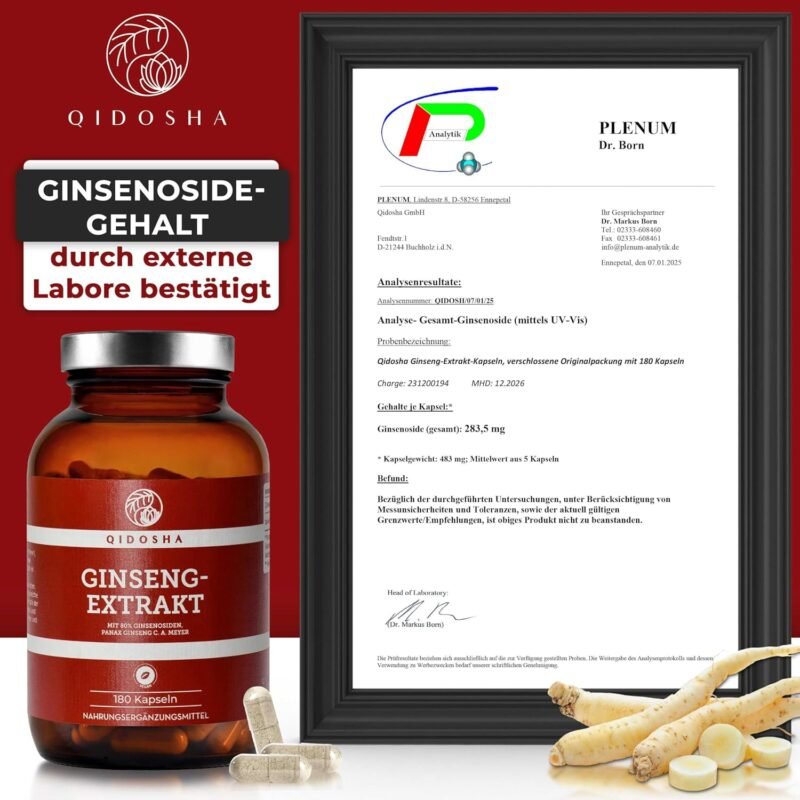 180 Ginseng Kapseln hochdosiert mit 80 % Ginsenosiden im Apothekerglas | QIDOSHA