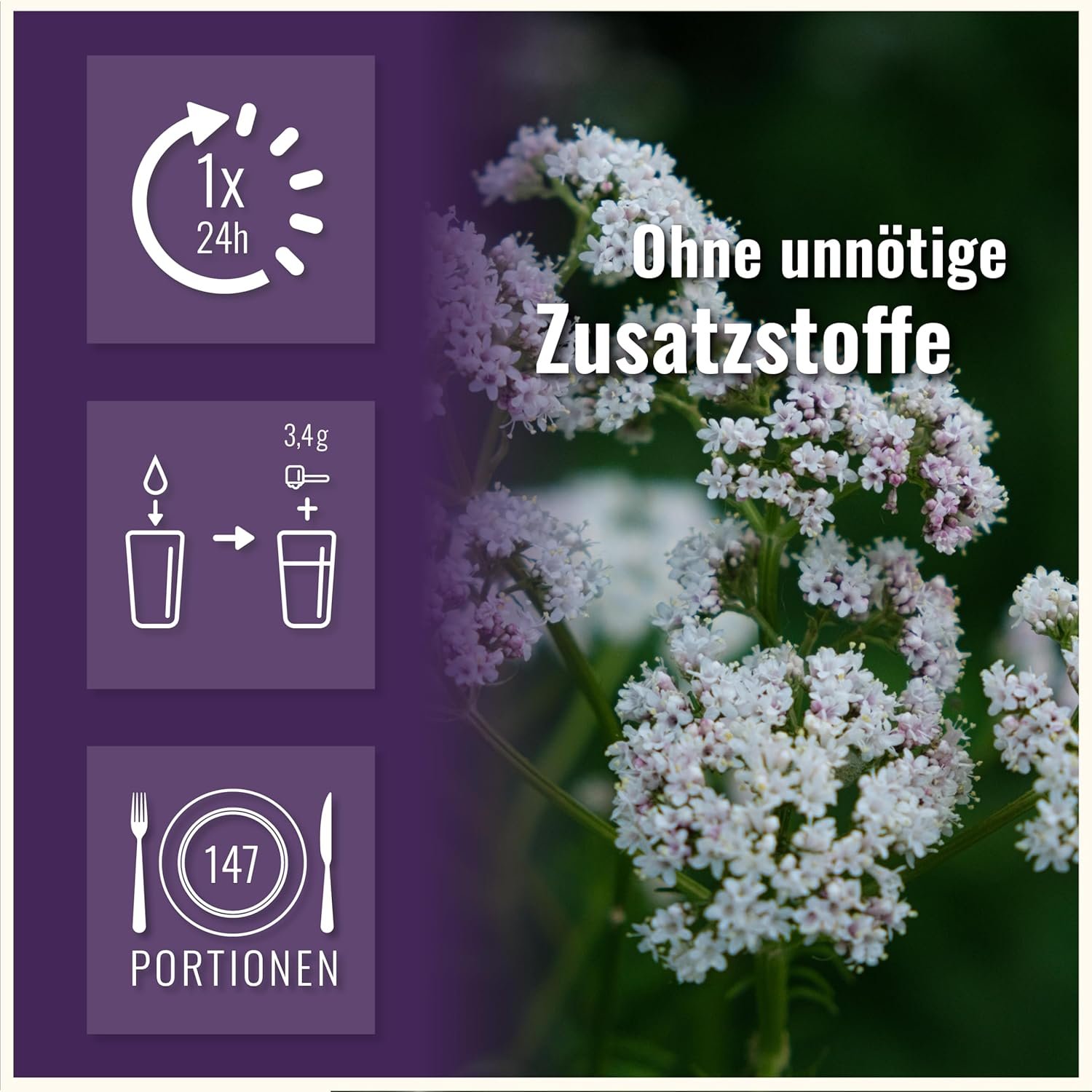 81+krG9iLaL._AC_SL1500_ 180 baldrian kapseln hochdosiert – 600 mg pro Kapsel – Natürliche Entspannung – Laborgeprüft