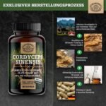 140 Kapseln cordyceps kapseln hochdosiert 1400mg vegan | SCHEUNENGUT