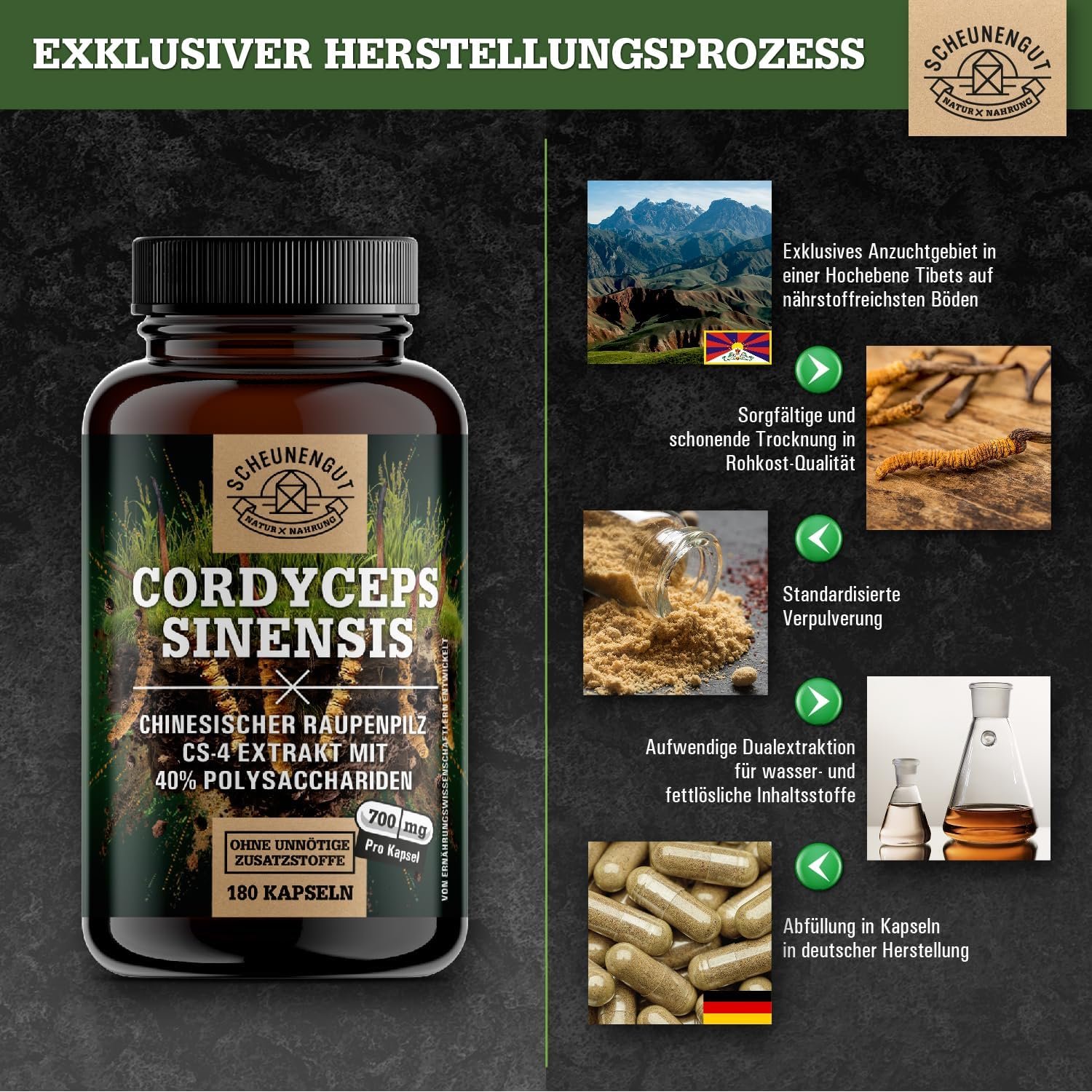 140 Kapseln cordyceps kapseln hochdosiert 1400mg vegan | SCHEUNENGUT