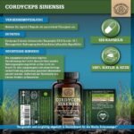 140 Kapseln cordyceps kapseln hochdosiert 1400mg vegan | SCHEUNENGUT