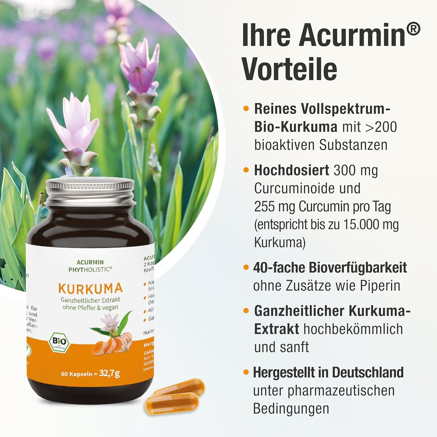 Kurkuma kapseln hochdosiert 15000 mg ohne pfeffer vegan | Phytholistic