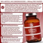 180 Ginseng Kapseln hochdosiert mit 80 % Ginsenosiden im Apothekerglas | QIDOSHA