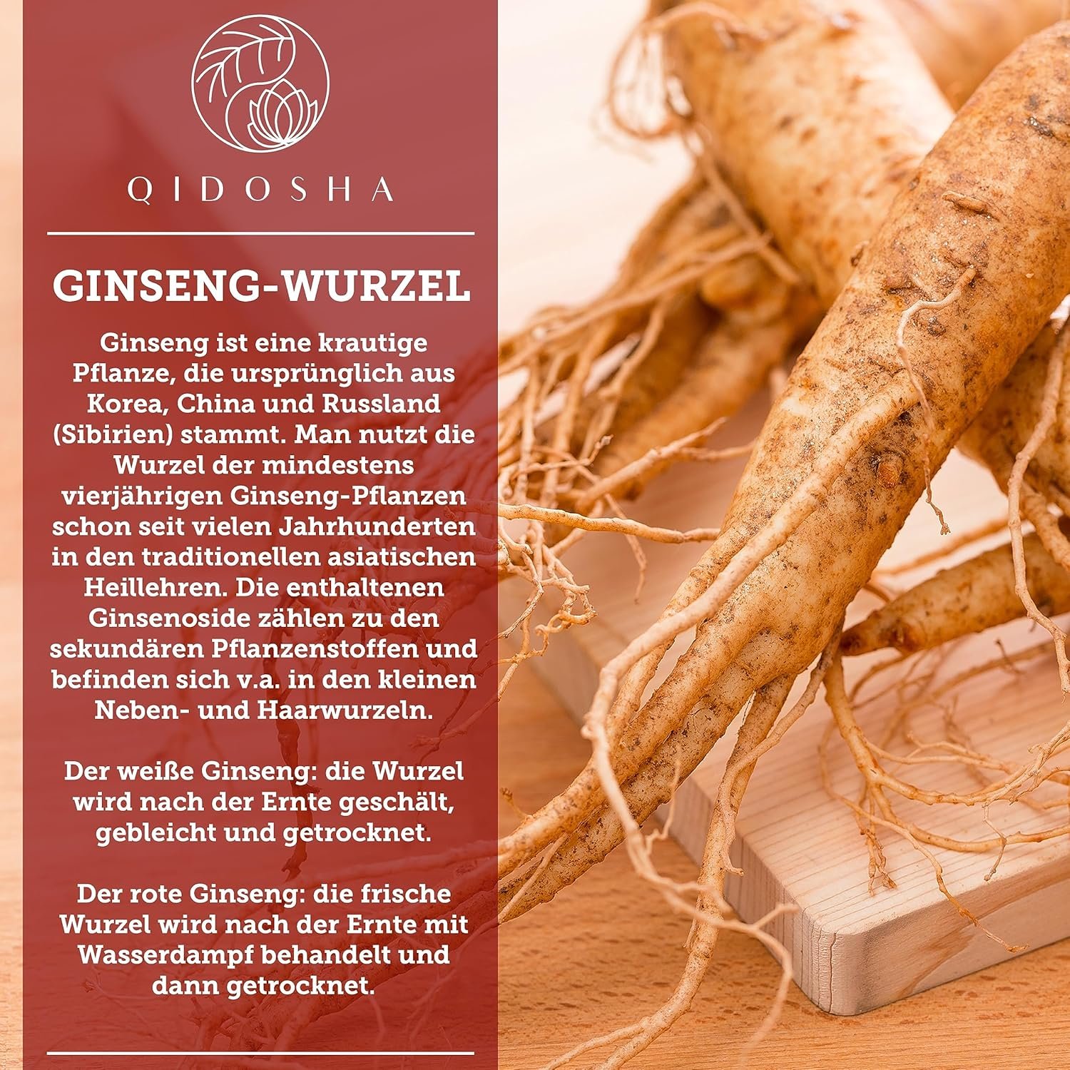 180 Ginseng Kapseln hochdosiert mit 80 % Ginsenosiden im Apothekerglas | QIDOSHA