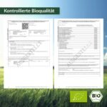 240 ceylon zimt kapseln – Bio, hochdosiert, vegan – 4 Monate Vorrat - Flügelschwinger