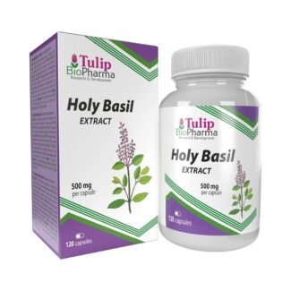 120 vegane tulsi kapseln mit 500 mg 10:1 Extrakt, laborgeprüft und glutenfrei