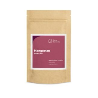 mangostan pulver 100g 100 prozent rein vegan terra elements