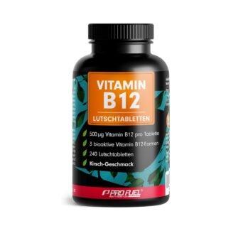240 Lutschtabletten Vitamin B12 Lutschtabletten 500 µg vegan ProFuel