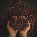 1000 g Bio Kakaonibs Criollo – Ungeröstete Rohkakaonibs, naturbelassen & ohne Zusätze | Kamelur