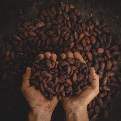 1000 g Bio Kakaonibs Criollo – Ungeröstete Rohkakaonibs, naturbelassen & ohne Zusätze | Kamelur