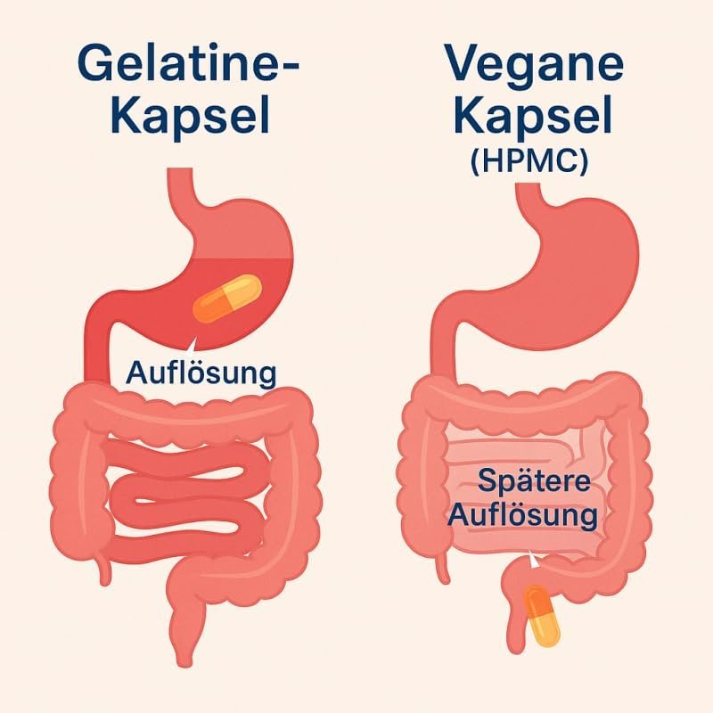 360 Stk. Capsaicin Fettverbrenner Kapseln – Diät & Stoffwechsel | VitalLeben