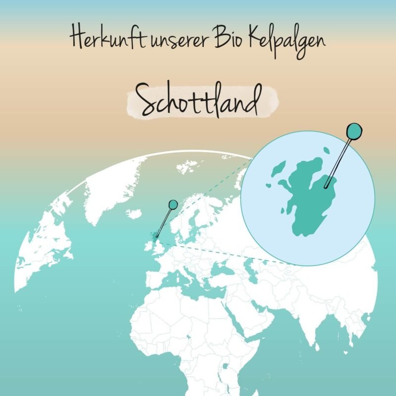 180 Jod aus Bio Kelp Kapseln – 150 µg reines Jod aus Braunalgen, vegan | Vegavero