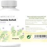 120 Kapseln Artemisia Beifuß Extrakt Kapseln hochdosiert vegan | ANNUMISIA