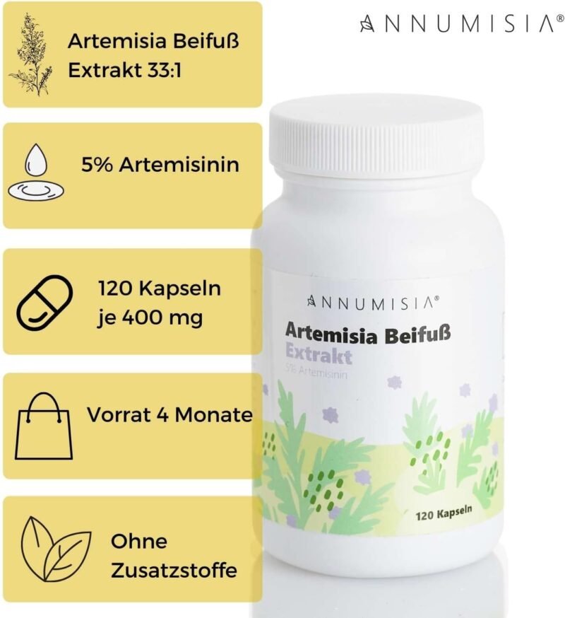 120 Kapseln Artemisia Beifuß Extrakt Kapseln hochdosiert vegan | ANNUMISIA