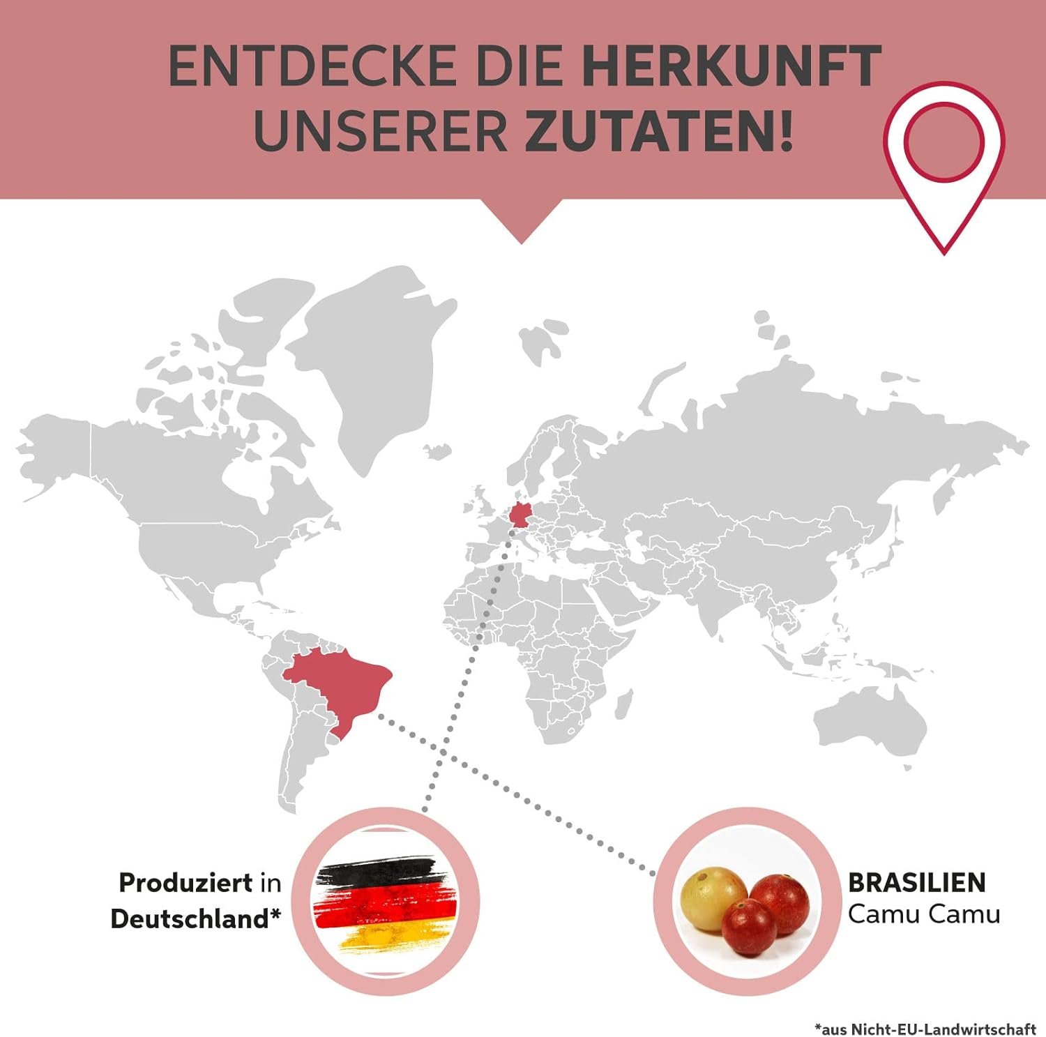 61cr9nmMwvL._AC_SL1500_ 500g Camu Camu Pulver Bio hochdosiert mit natürlichem Vitamin C | Eltabia