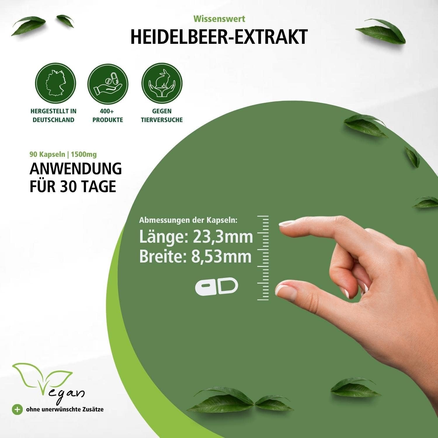 90 Heidelbeer Extrakt Kapseln – 25 % Anthocyane hochdosiert & vegan | Fairvital