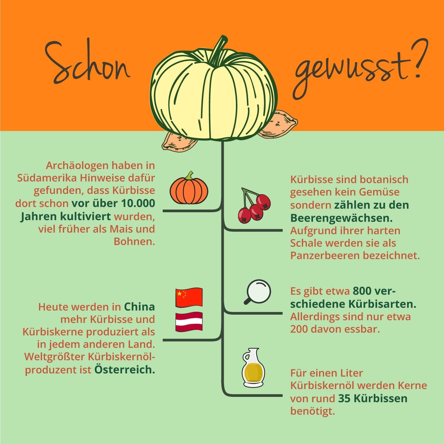 180 Kürbiskernöl Kapseln Bio – kaltgepresst & vegan ohne Zusätze | Vegavero