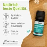 5 ml Konzentration Fokus Duftmischung | Ätherische Öle für mentale Leistung | Casida