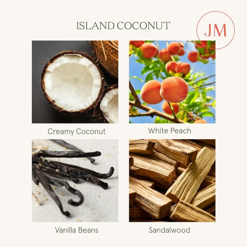 Island Coconut Duftkerze 539g | Glaskerze mit Holzdocht & Kokosduft | 90h Brenndauer | LA JOLIE MUSE