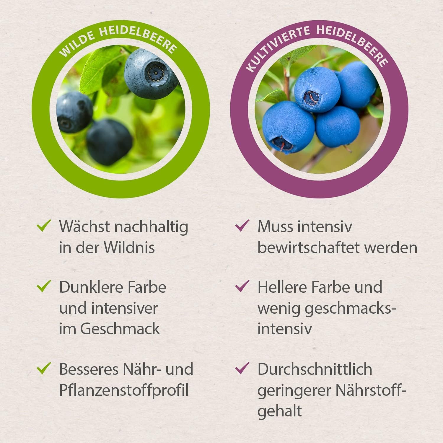 200g Wilde Heidelbeeren Bio Pulver – roh & antioxidativ | Effective Nature